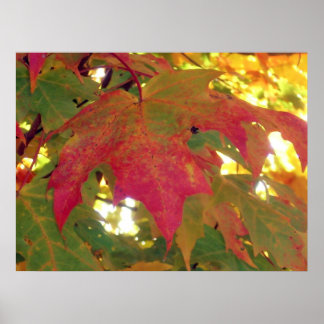 Fall Leave Before It Falls Poster