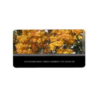 Fall Leaves Address Labels