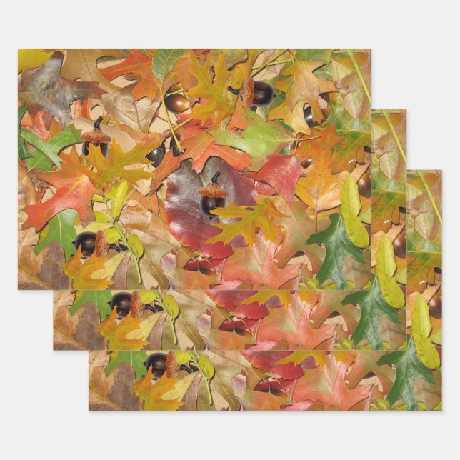 Fall Leaves and Acorns Wrapping Paper Sheet (Set)