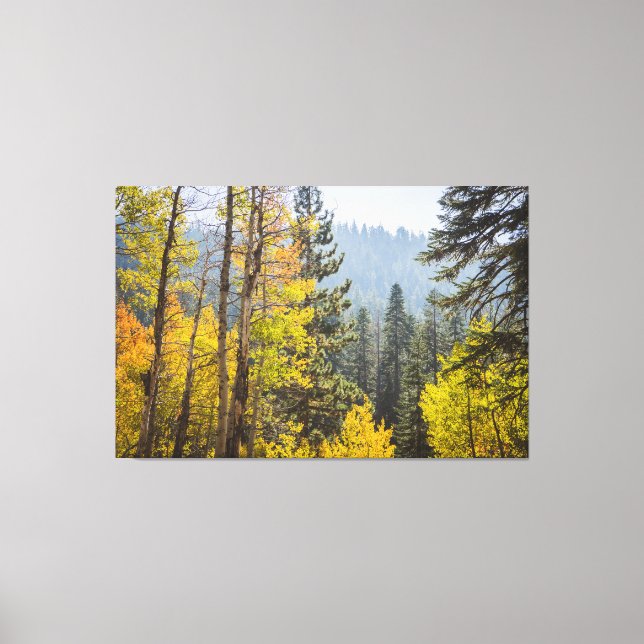 Fall Leaves at Lake Tahoe Stretched Canvas Print (Front)