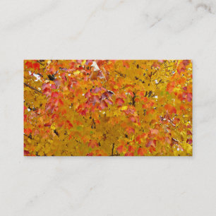 Fall Leaves Business Cards, Autumn Leaves, Nature Business Card