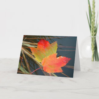 Fall Leaves - card