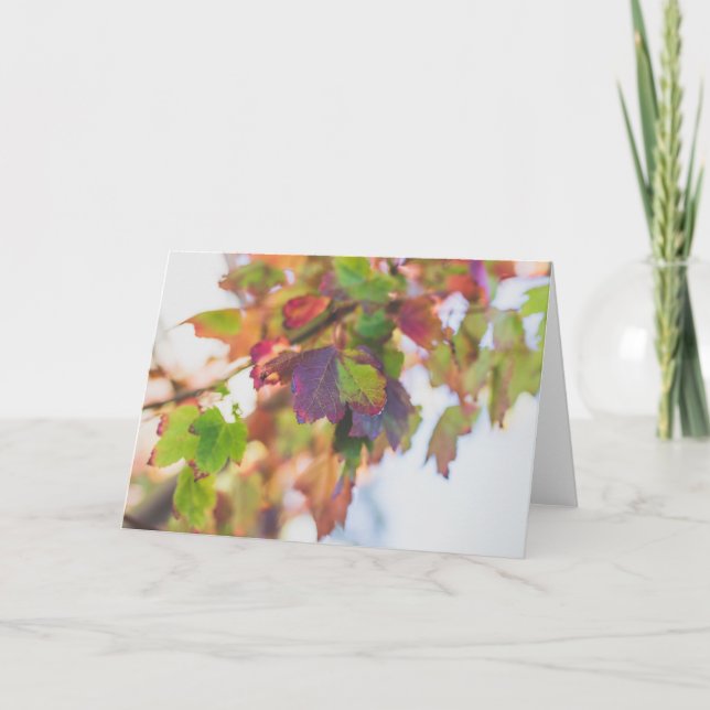 Fall Leaves Card (Front)