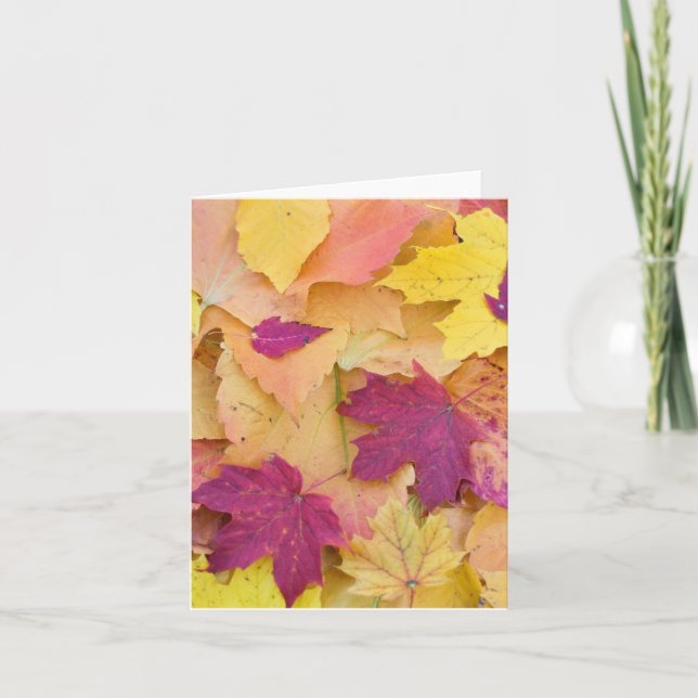 Fall Leaves Design Card (Front)