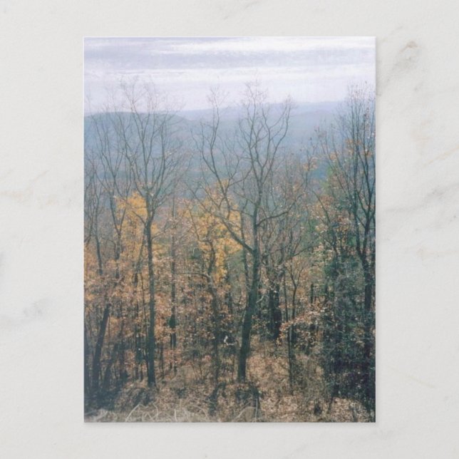 Fall Leaves- Georgia Postcard (Front)