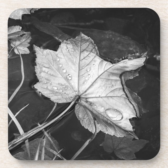 Fall Leaves in a Pond Black and White Coaster (Front)