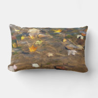 Fall Leaves in Pond Water Nature Photography