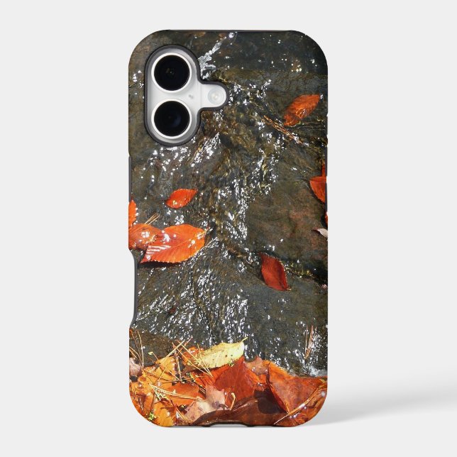 Fall Leaves in Waterfall I Autumn Photography (Back)