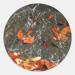 Fall Leaves in Waterfall I Autumn Photography Classic Round Sticker
