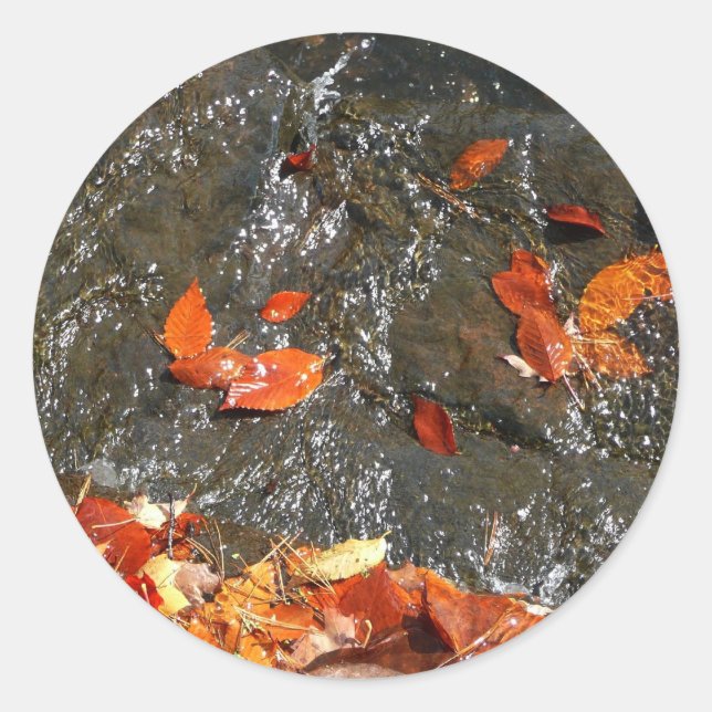 Fall Leaves in Waterfall I Autumn Photography Classic Round Sticker (Front)