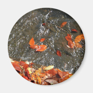Fall Leaves in Waterfall I Autumn Photography Magnet