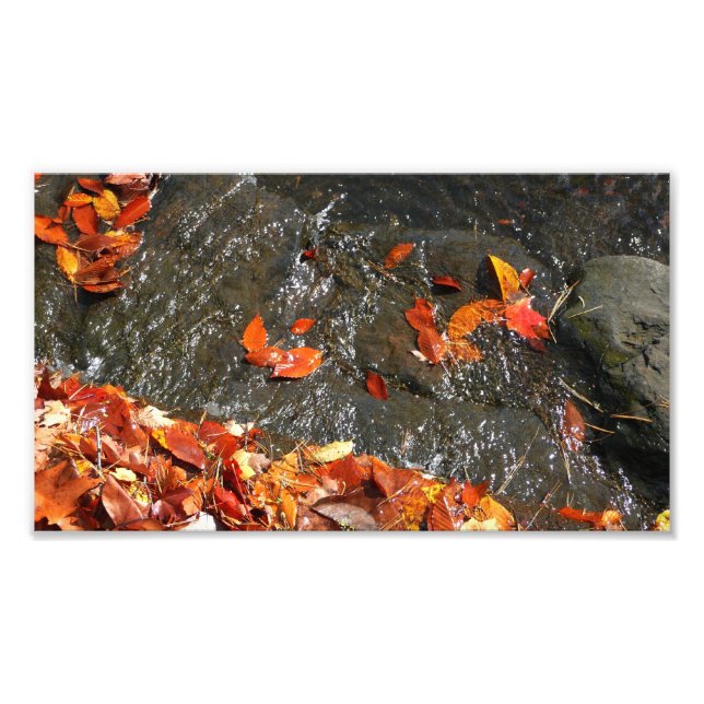 Fall Leaves in Waterfall I Autumn Photography Photo Print (Front)