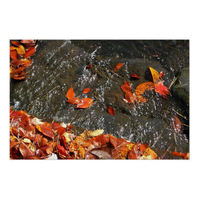 Fall Leaves in Waterfall I Autumn Photography Poster (Front)