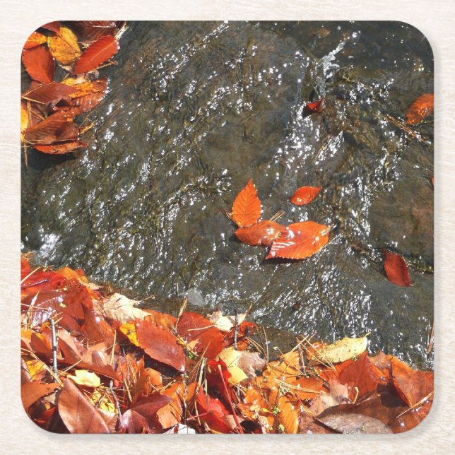 Fall Leaves in Waterfall I Autumn Photography Square Paper Coaster (Front)