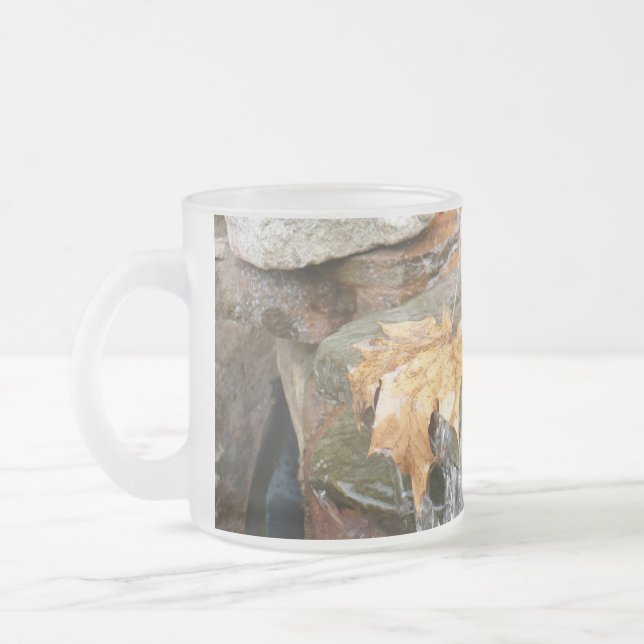 Fall Leaves in Waterfall II Autumn Photography Frosted Glass Coffee Mug (Left)