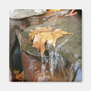 Fall Leaves in Waterfall II Autumn Photography Magnet
