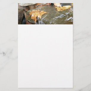 Fall Leaves in Waterfall II Autumn Photography Stationery