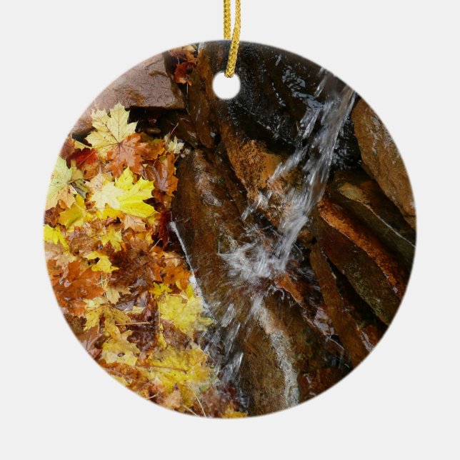 Fall Leaves in Waterfall III Autumn Nature Ceramic Tree Decoration (Front)