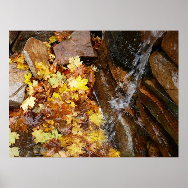 Fall Leaves in Waterfall III Autumn Nature Poster (Front)