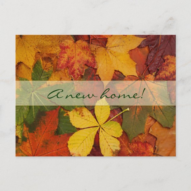 Fall Leaves-New Home Announcement Postcard (Front)