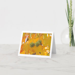 "FALL LEAVES" NOTECARD (PHTOG)