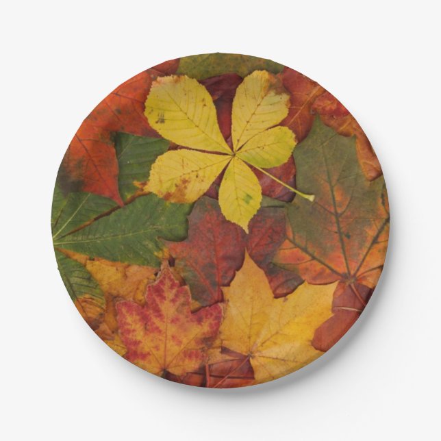 Fall Leaves Paper Plates (Front)