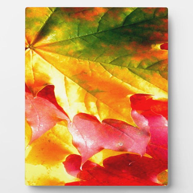 Fall Leaves Personalise it Yellow, Red, Green, Plaque (Front)