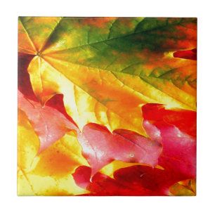 Fall Leaves Personalise it Yellow, Red, Green, Tile