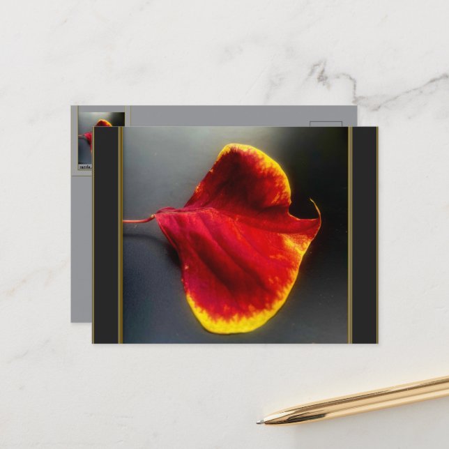 Fall Leaves Postcard (Front/Back In Situ)
