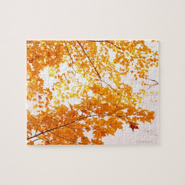 Fall Leaves Reflection Jigsaw Puzzle (Horizontal)