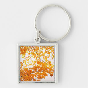 Fall Leaves Reflection Key Ring
