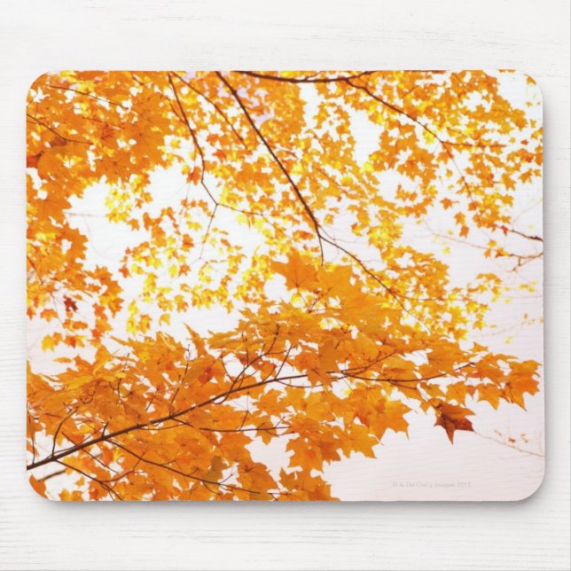 Fall Leaves Reflection Mouse Pad (Front)