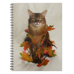 Fall Leaves Somali Cat Notebook