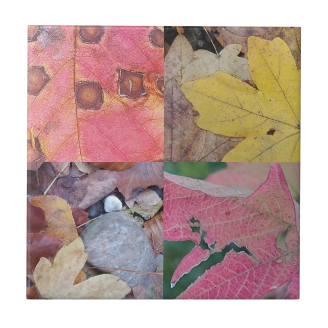 Fall leaves tile (Front)