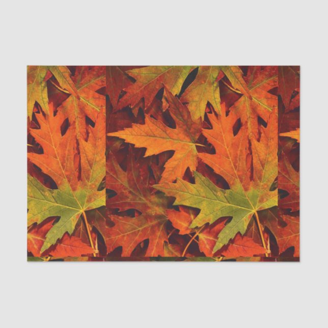 Fall leaves tissue paper (Front)
