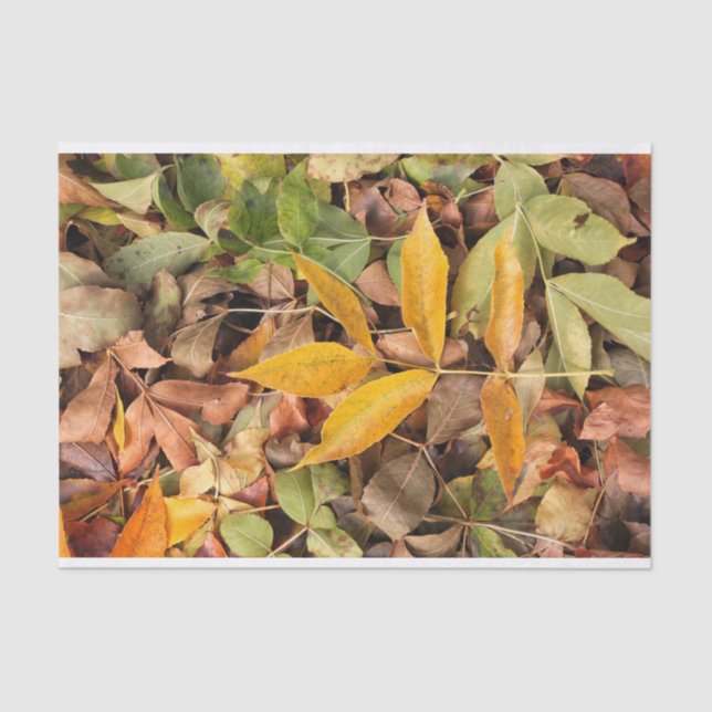 Fall Leaves Tissue Paper (Front)