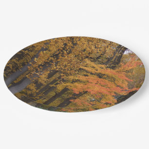 Fall Leaves Tulip Poplar Trees Paper Plate