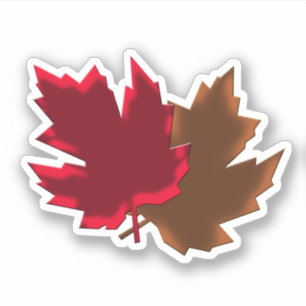 Fall leaves vector design