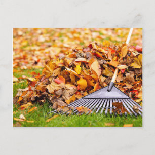 Fall Leaves With Rake Postcard