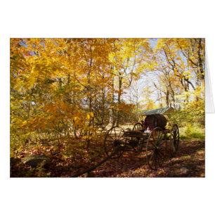 Fall Leaves with wagon