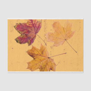 Fall Maple Leaf Brown and Orange Tissue Paper