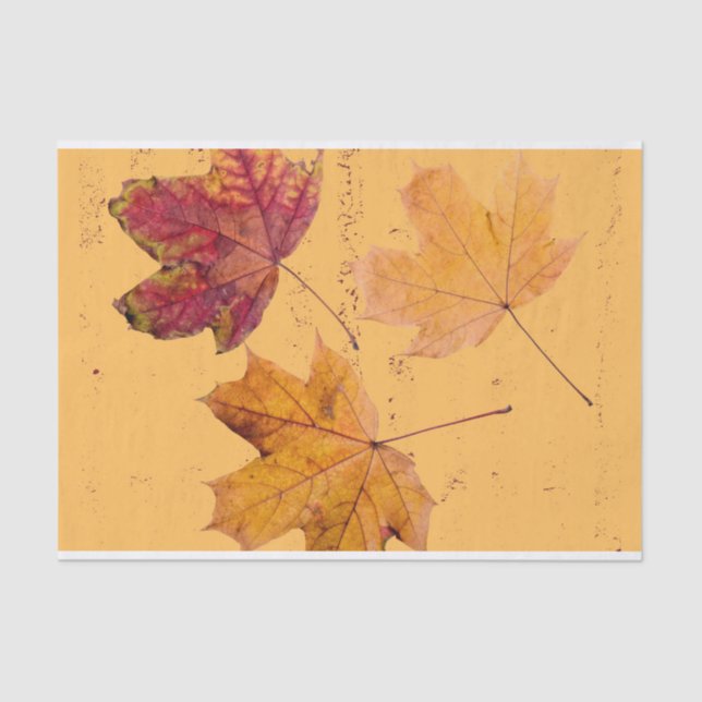 Fall Maple Leaf Brown and Orange Tissue Paper (Front)