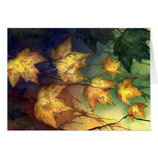 Fall Maple Leaves
