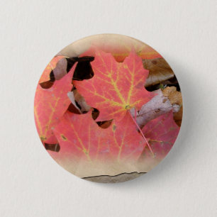 Fall Maple Leaves Coordinating Items 6 Cm Round Badge