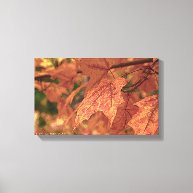Fall Maple Leaves HDR Canvas Print (Front)