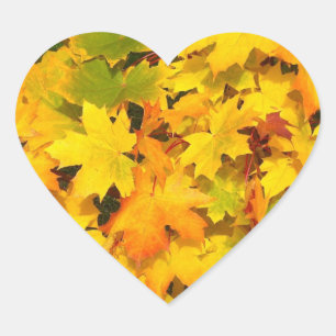Fall Maple Leaves with Autumn Colours Heart Sticker