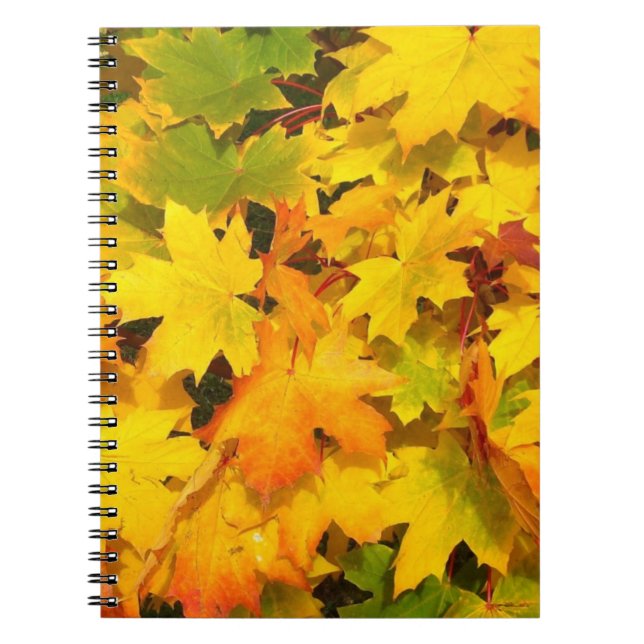 Fall Maple Leaves with Autumn Colours Spiral Notebook (Front)