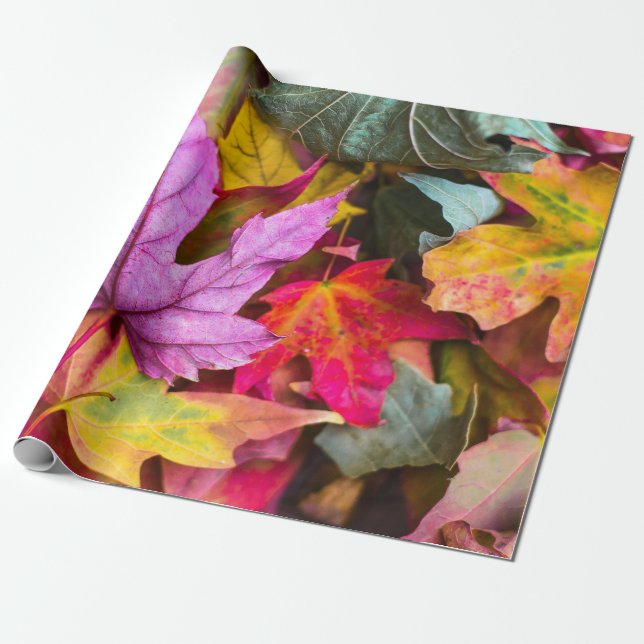 Fall maple tree leaf colourful autumn nature photo wrapping paper (Unrolled)