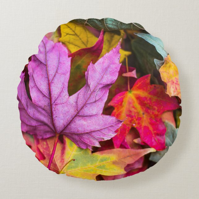 Fall maple tree leaf colourful autumn purple orang round cushion (Front)