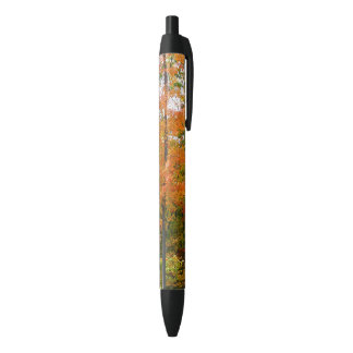 Fall Maple Trees Autumn Nature Photography Black Ink Pen